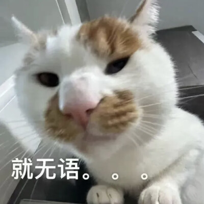 自用表情包

