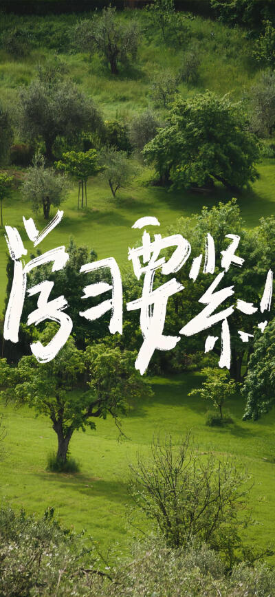 治愈系手写文字壁纸 ​​​