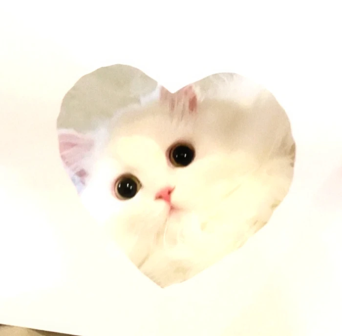 妈咪说我是奶油小蛋糕 哥哥姐姐不准吃我！