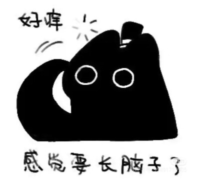 克猫猫表情包
