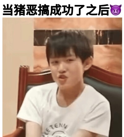 猪