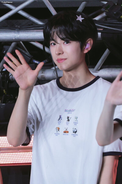 TulipMeow_0204
