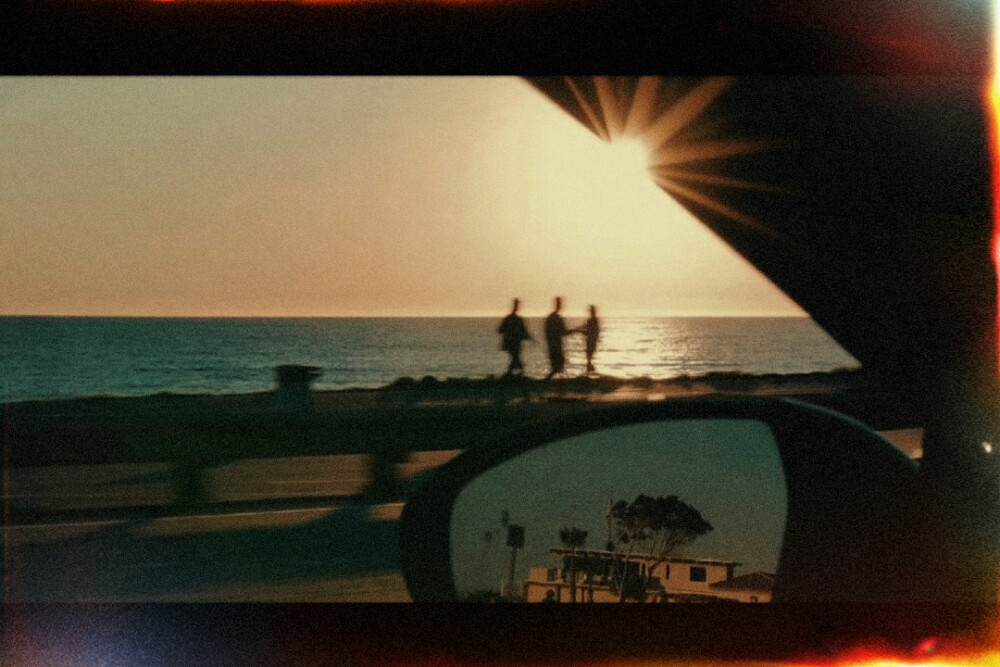 ： 閱覽群書 枯木生花 而你是我閱盡千帆覽遍書籍的枯木逢春
