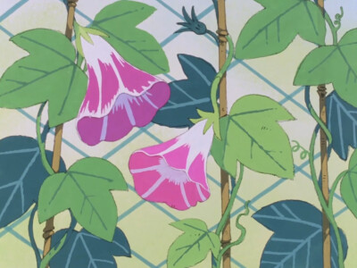 牵牛花