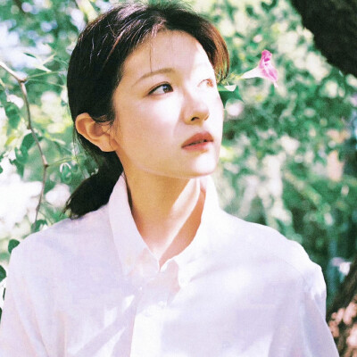 李兰迪