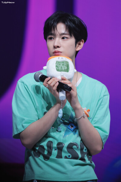 TulipMeow_0204