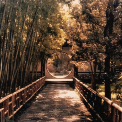  如何别后 三换梅枝