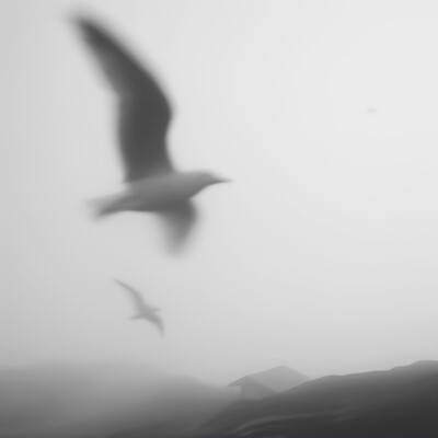 背景