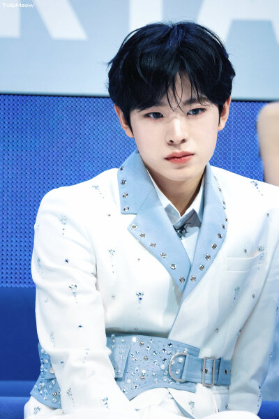 TulipMeow_0204