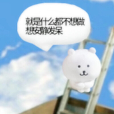 (>﹏<)