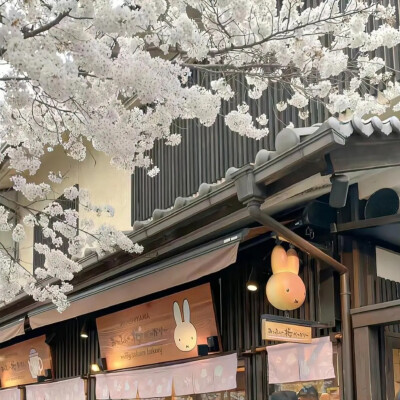 背景图