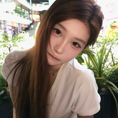 dt愛与莲