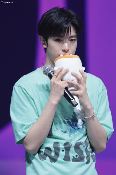 TulipMeow_0204