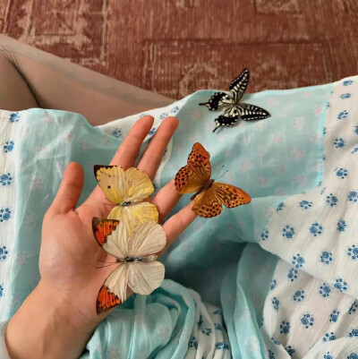背景图