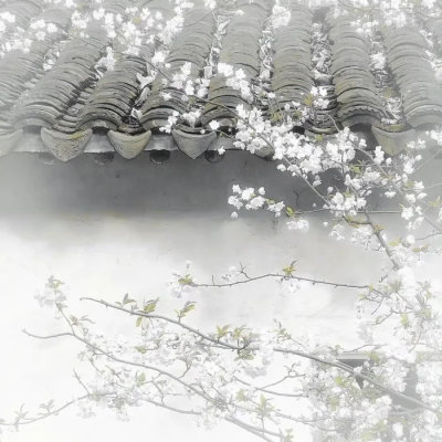 第3组，无需注明