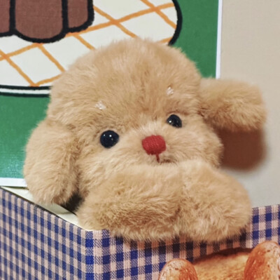 狗狗