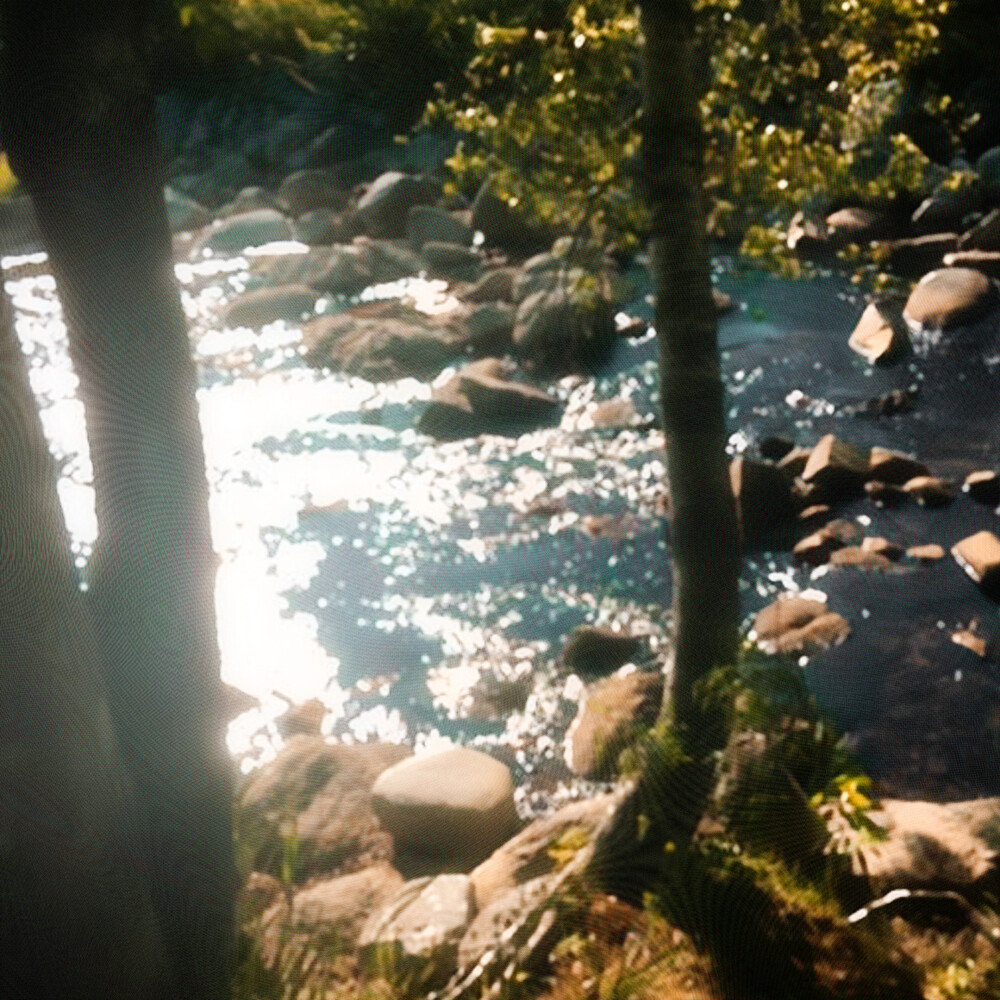 我想留住与你的每个瞬间但人生本来就是马不停蹄的相遇和错过