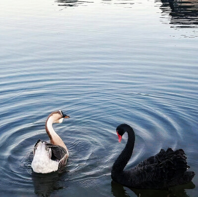 日常
阳光倒灌