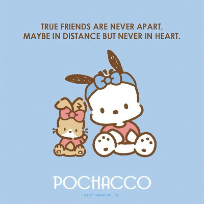 『sanrio帕恰狗』头像▪壁纸