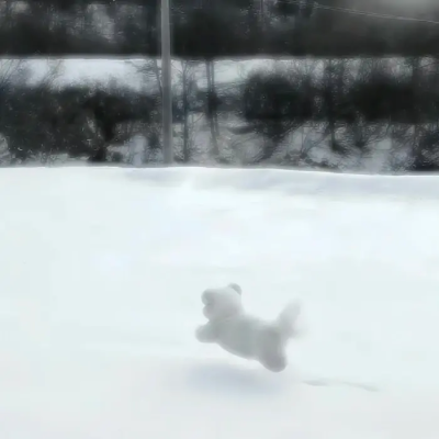 兔本电台宝宝的