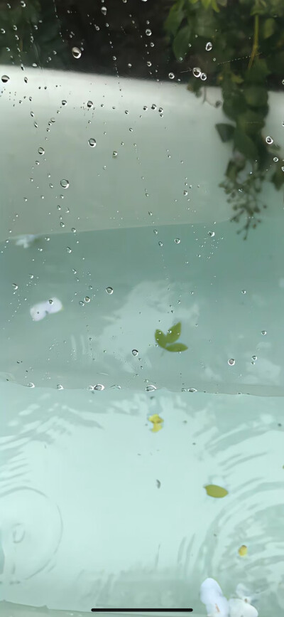 雨