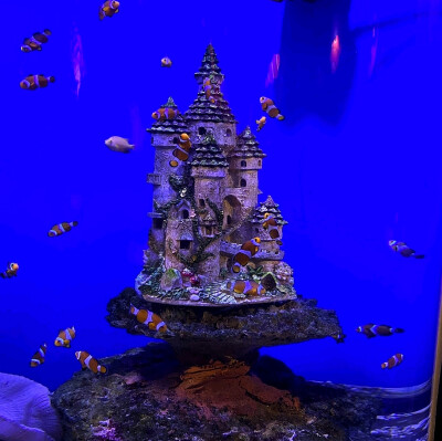 日常
阳光倒灌