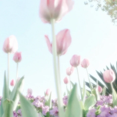 兔本送的呀注明amourcalmar