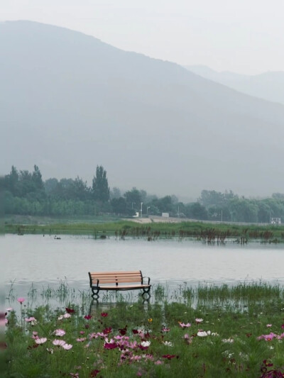 决定一生的，不是你的能力，而是你的选择 ​​​​。