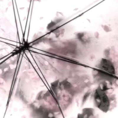 程述宝宝给的！特别美