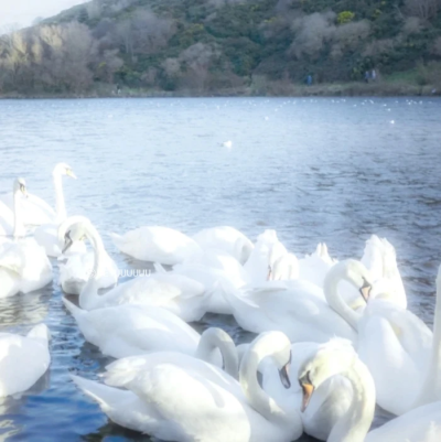 ——那时的天空像一封深蓝色的情书——
水蓝色朋友圈排版，网络来源，侵权删