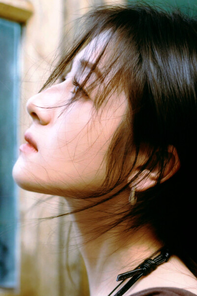 李兰迪