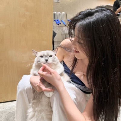 一起看愚蠢的晚霞吧