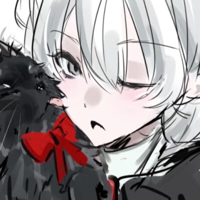 收藏