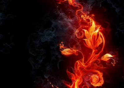 ✞.☠᛭.૮ ///▽/// ა