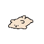 猫猫猫
