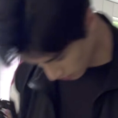 何家树