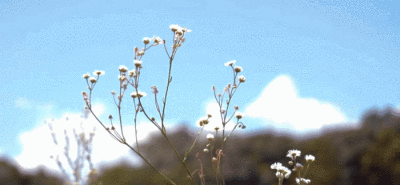 처음 보는 것은 영원이다 ˖ ：初见即是永远