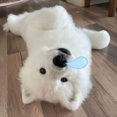 可爱头像