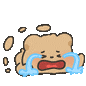 猫猫猫
