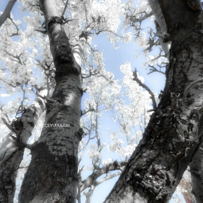 ——那时的天空像一封深蓝色的情书——
水蓝色朋友圈排版，网络来源，侵权删