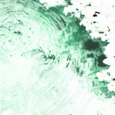 青梅绿茶｀towards the light