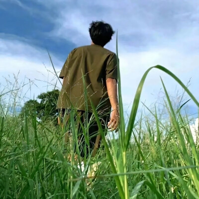 海水与礁石相互碰撞玫瑰迎着夏日盛放