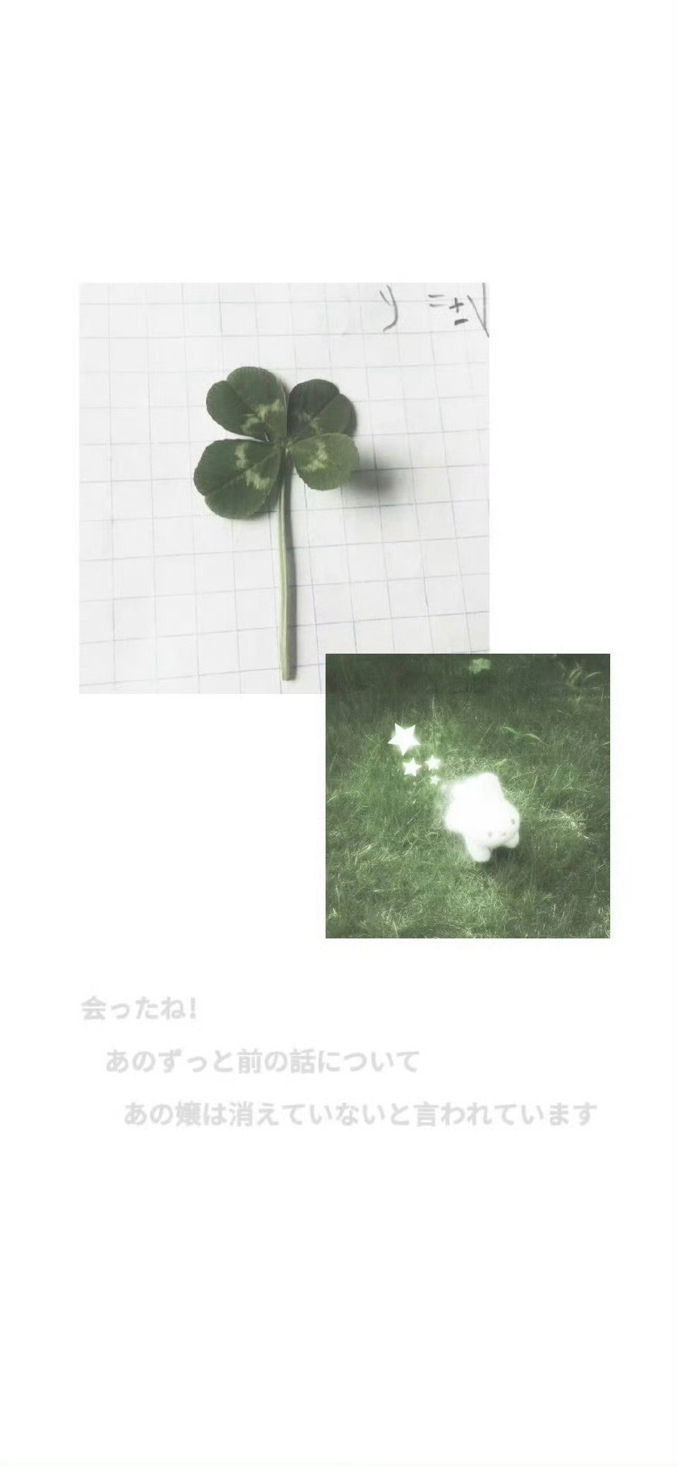 /