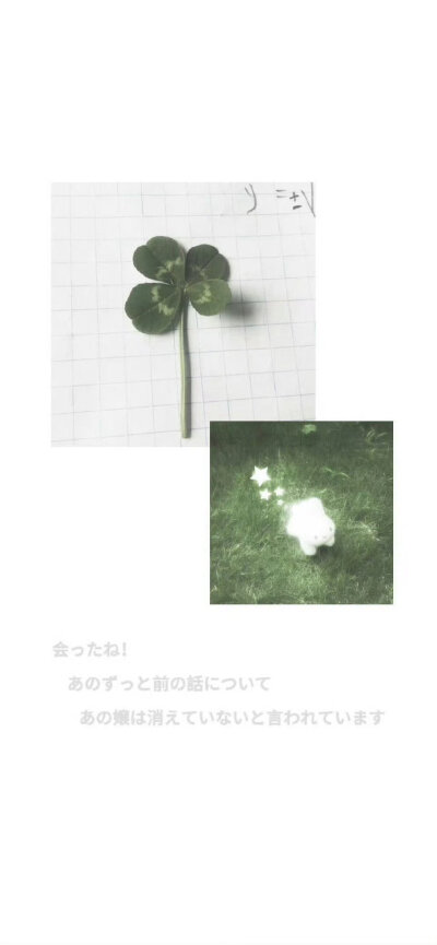 /