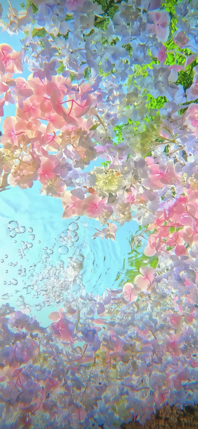 生活中的小美好