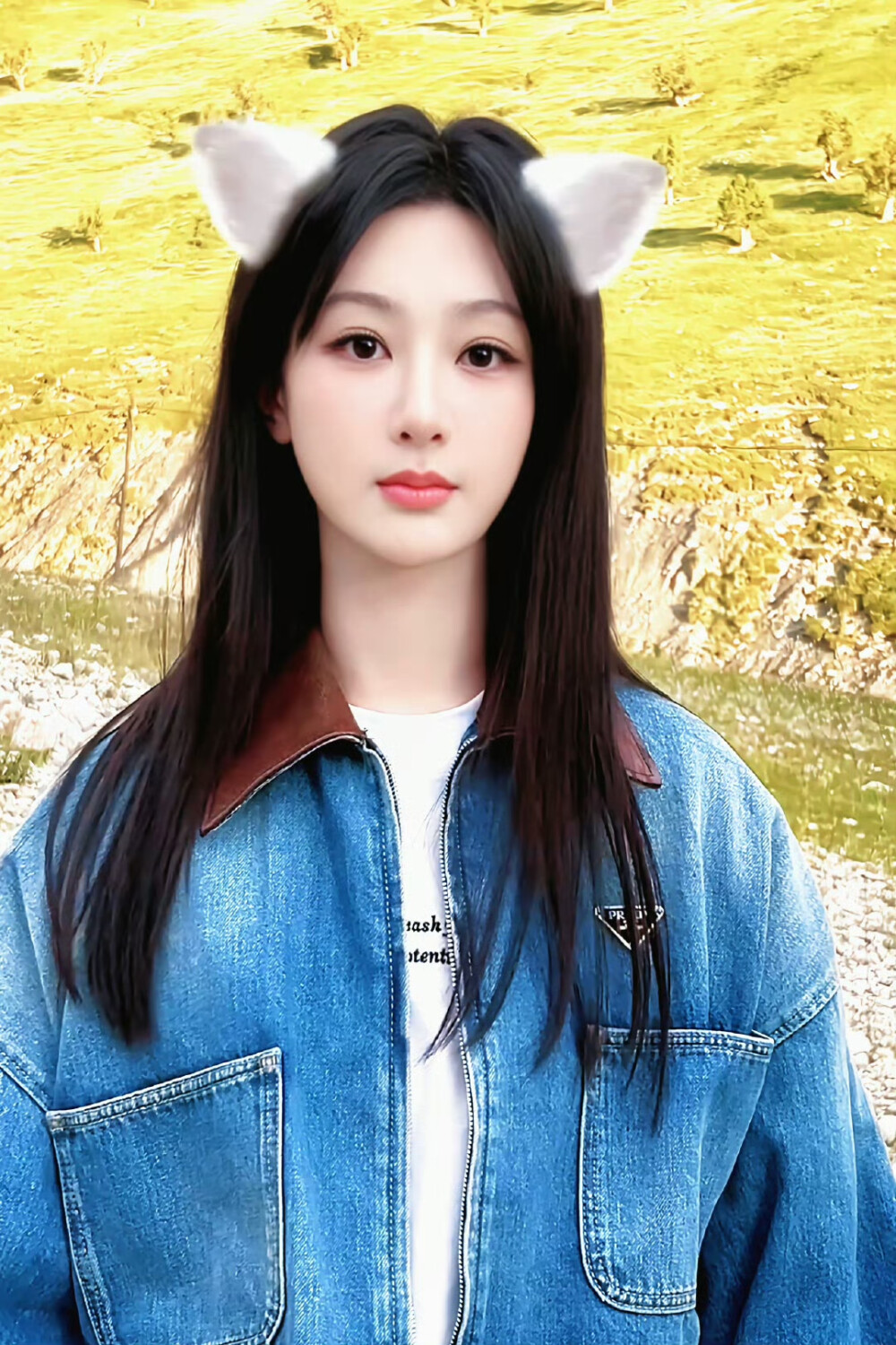 杨紫