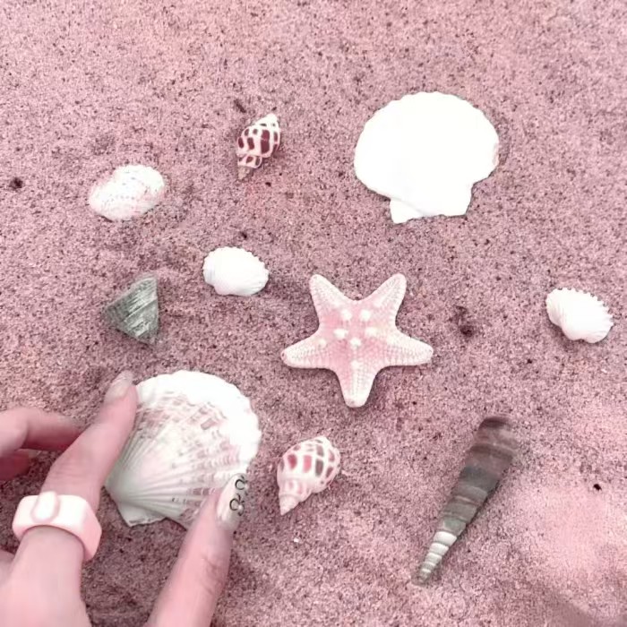 程述宝宝给的！特别美