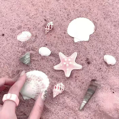 程述宝宝给的！特别美