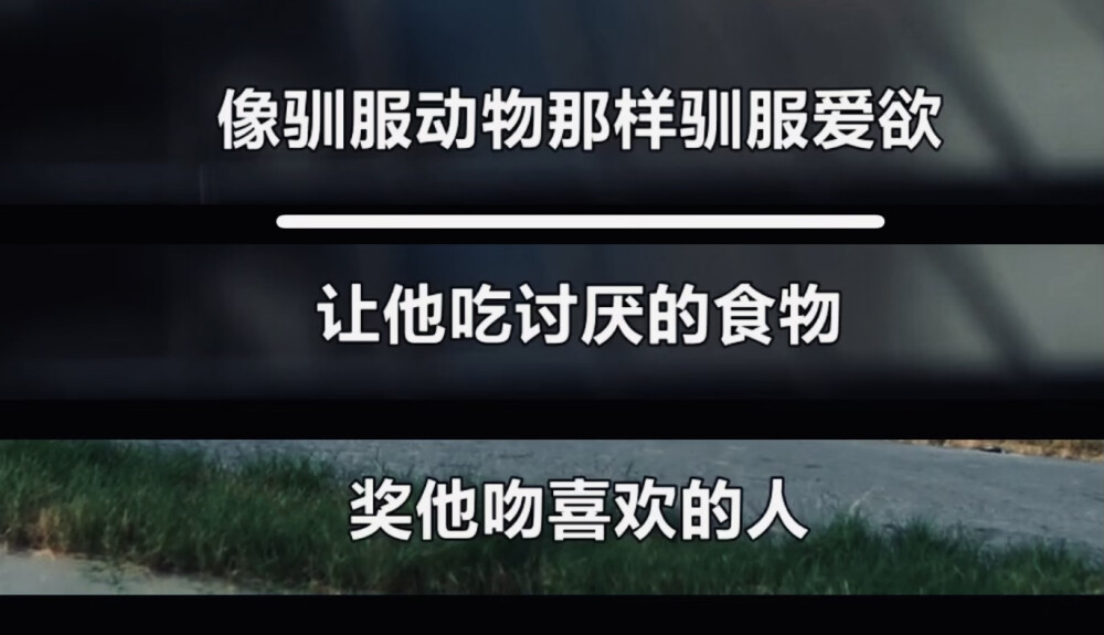 你