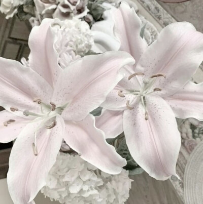 ♡